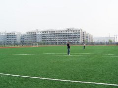 [field:title function='html2text(@me)'/]
